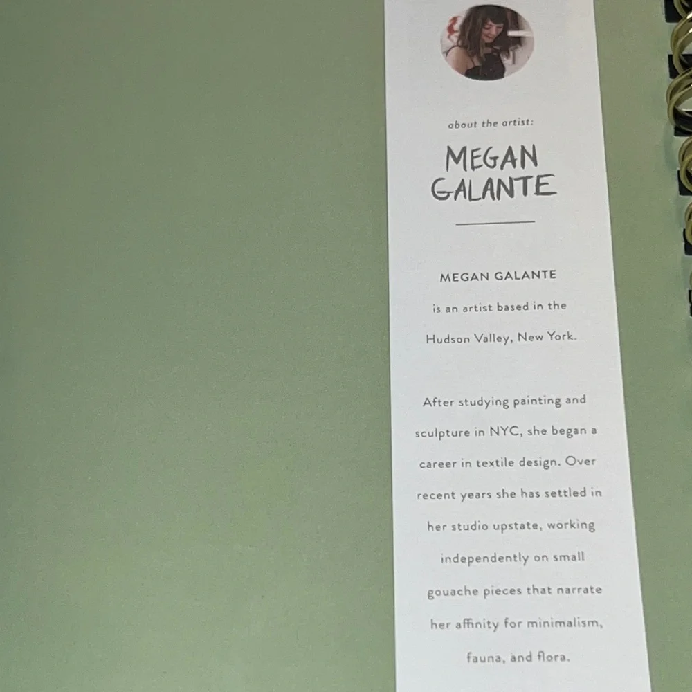 Megan Galante non-dated monthly planner-12 month-pocket & tab-divider-152 pg-NWT